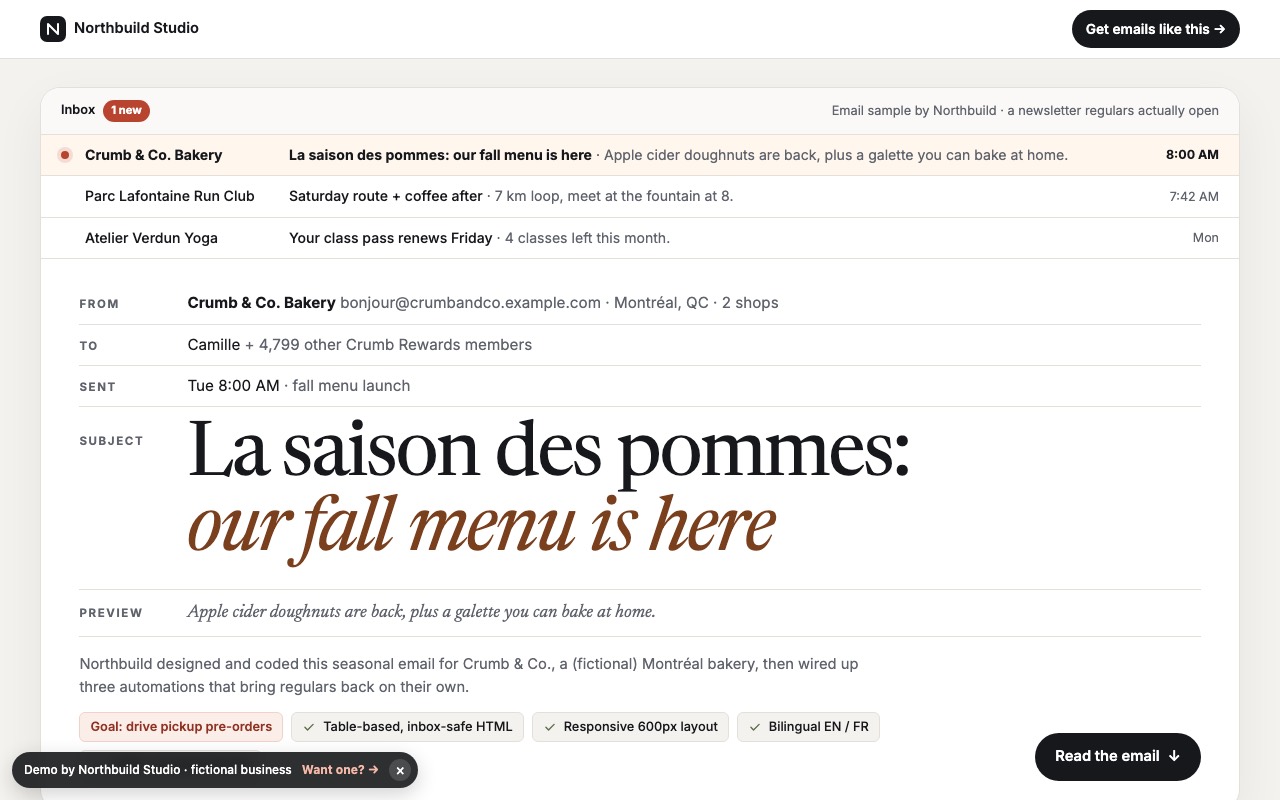 Screenshot of the Email newsletter demo